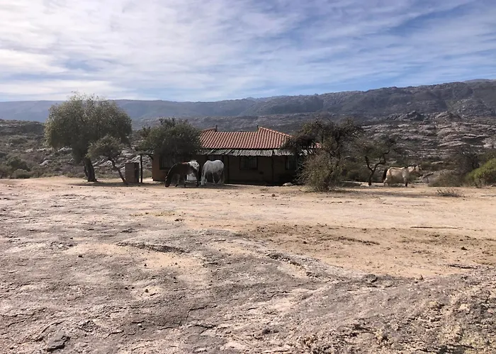 El Nogalito Mina Clavero