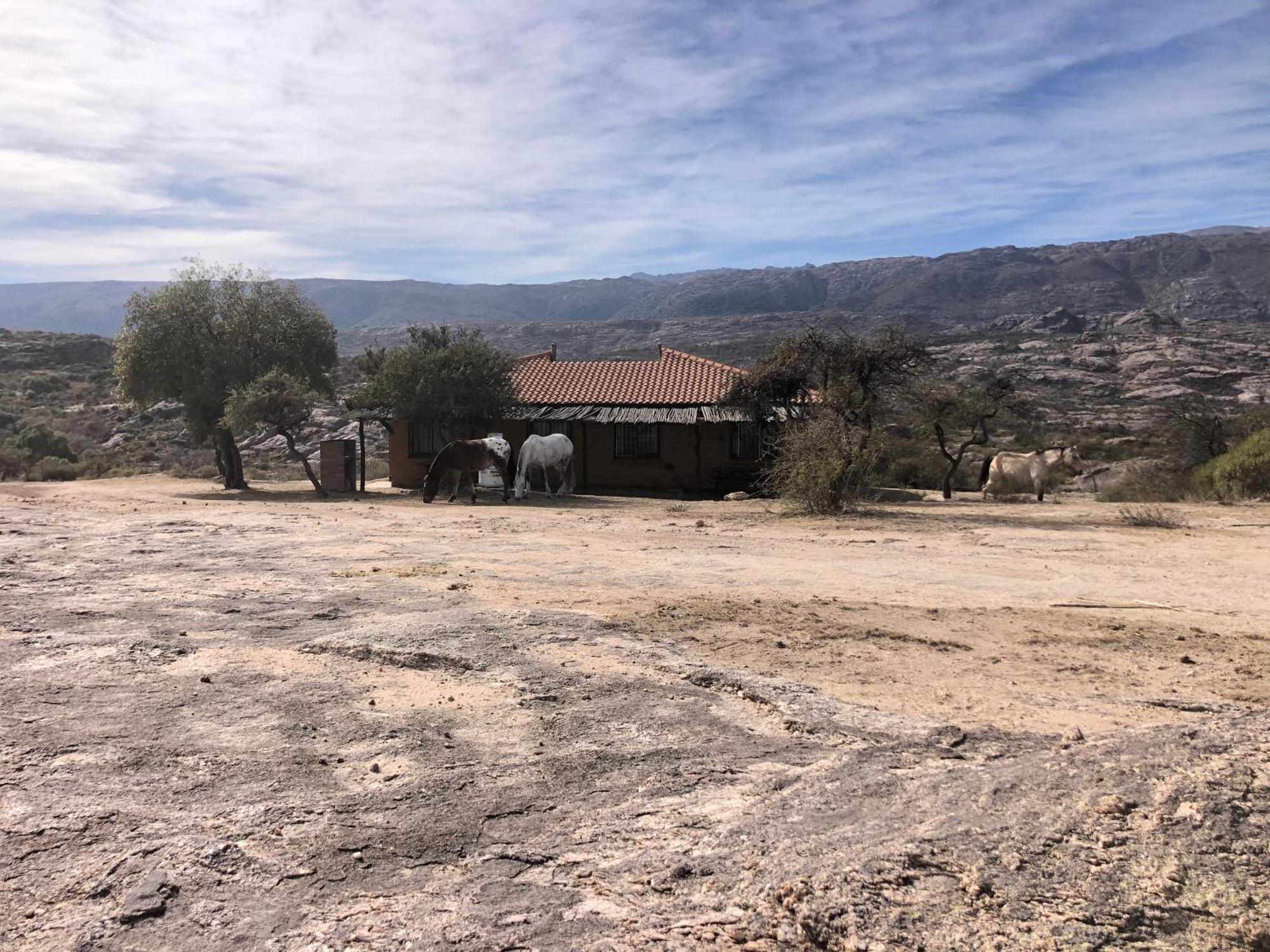 El Nogalito Chalet *
